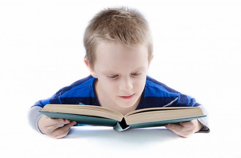 Childhood Reading Education Intellectual giftedness, reading transparent background PNG clipart