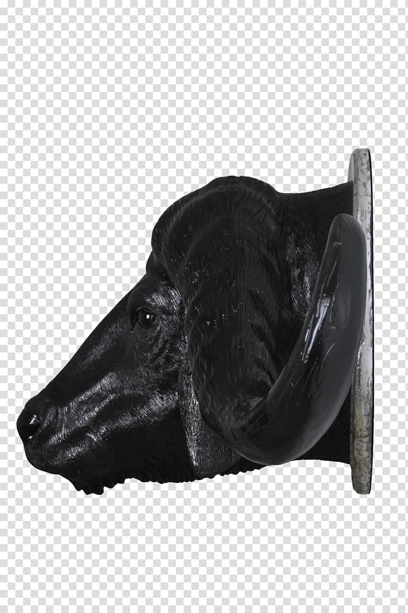 Shoe Snout Black M, buffalo head transparent background PNG clipart
