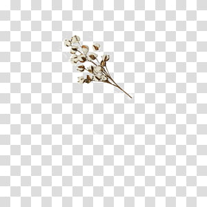 Body Jewellery, Jewellery transparent background PNG clipart thumbnail