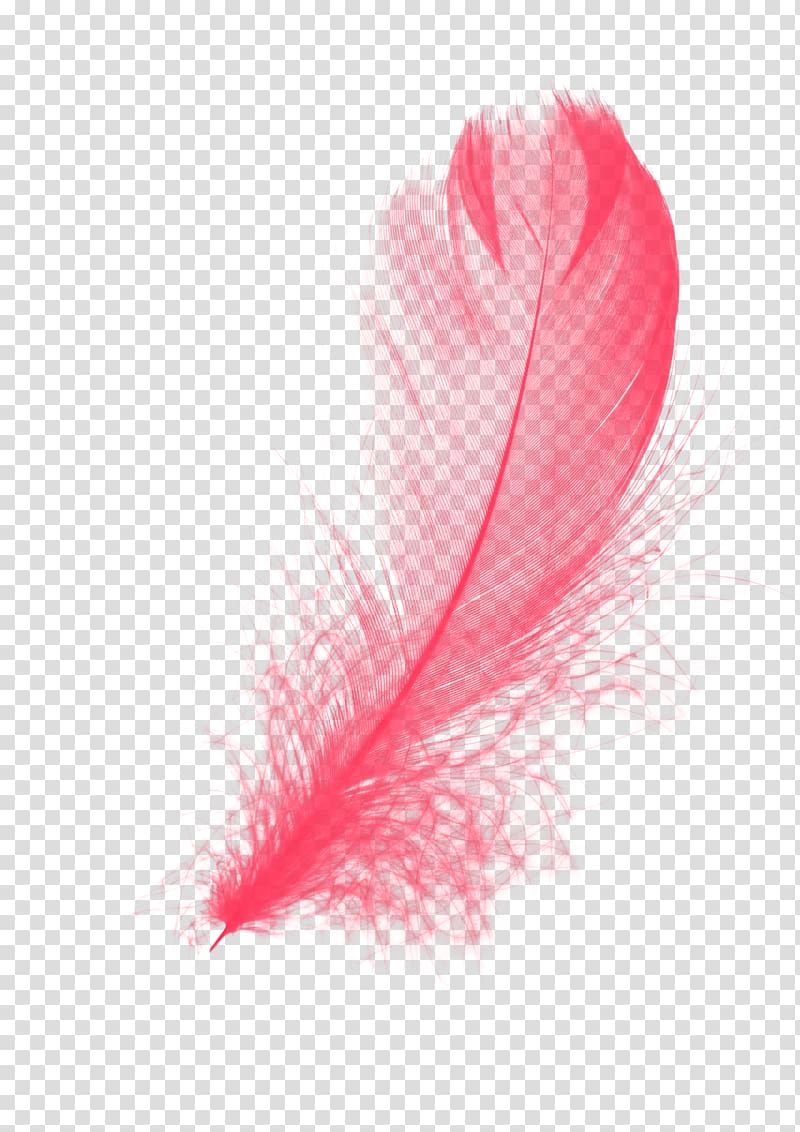 Feather, Red Feather, red feather illustration transparent background PNG clipart