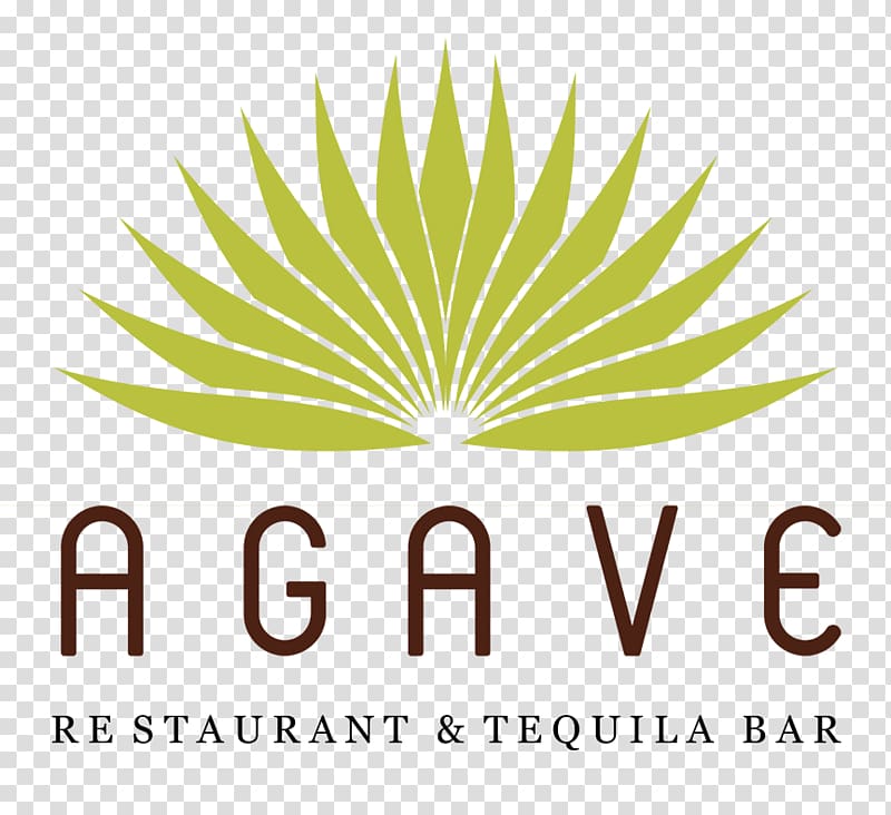 Agave nectar Agave azul Tequila Logo, agave transparent background PNG clipart