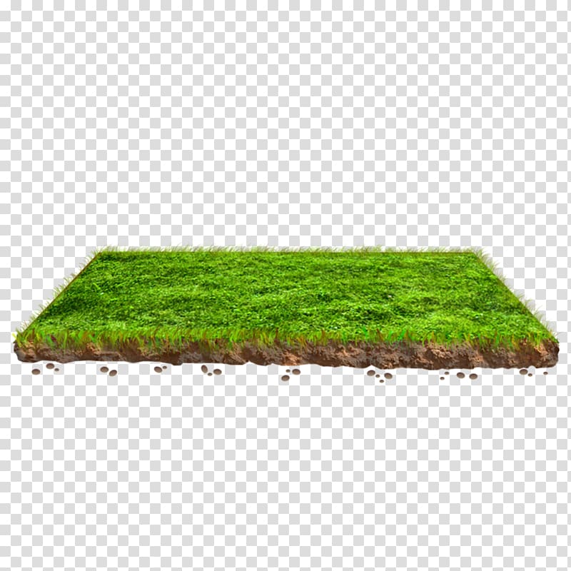 Lawn Grasses Plant Rectangle Family, SOIL transparent background PNG clipart