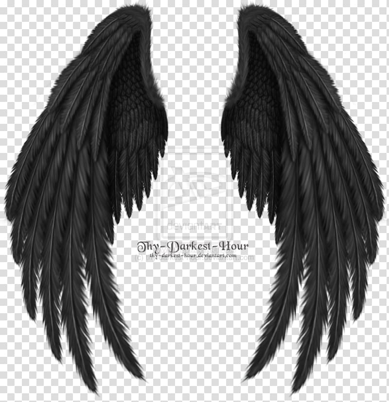 Drawing Paul McCartney and Wings , azrael angel of death transparent background PNG clipart