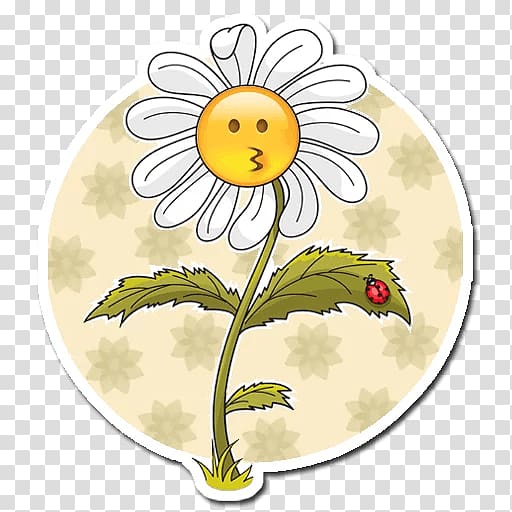 Drawing Common daisy, chamomile transparent background PNG clipart