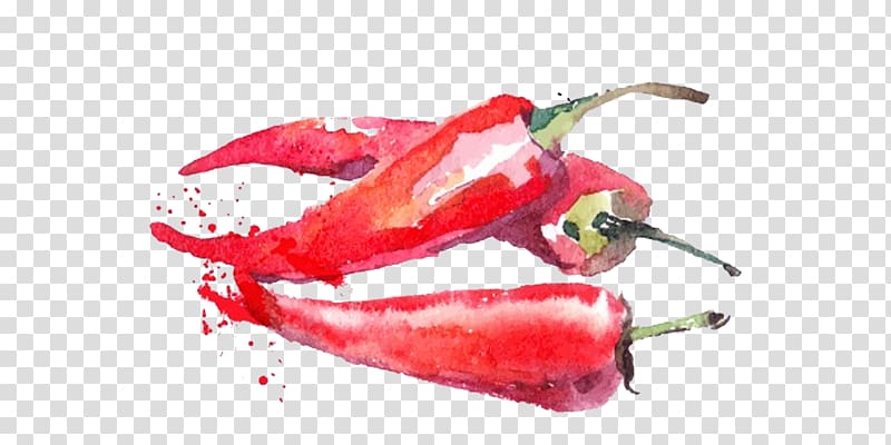 Watercolor painting Vegetable Fruit Illustration, Ink pepper transparent background PNG clipart