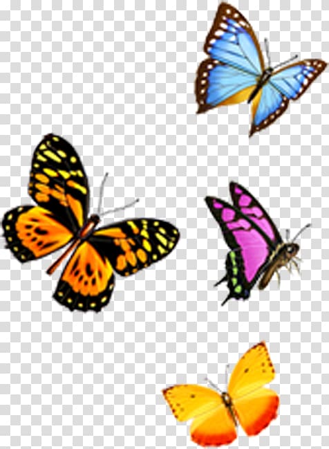 Huawei P10 Huawei P9 Butterfly Amazon.com Case, butterfly transparent background PNG clipart