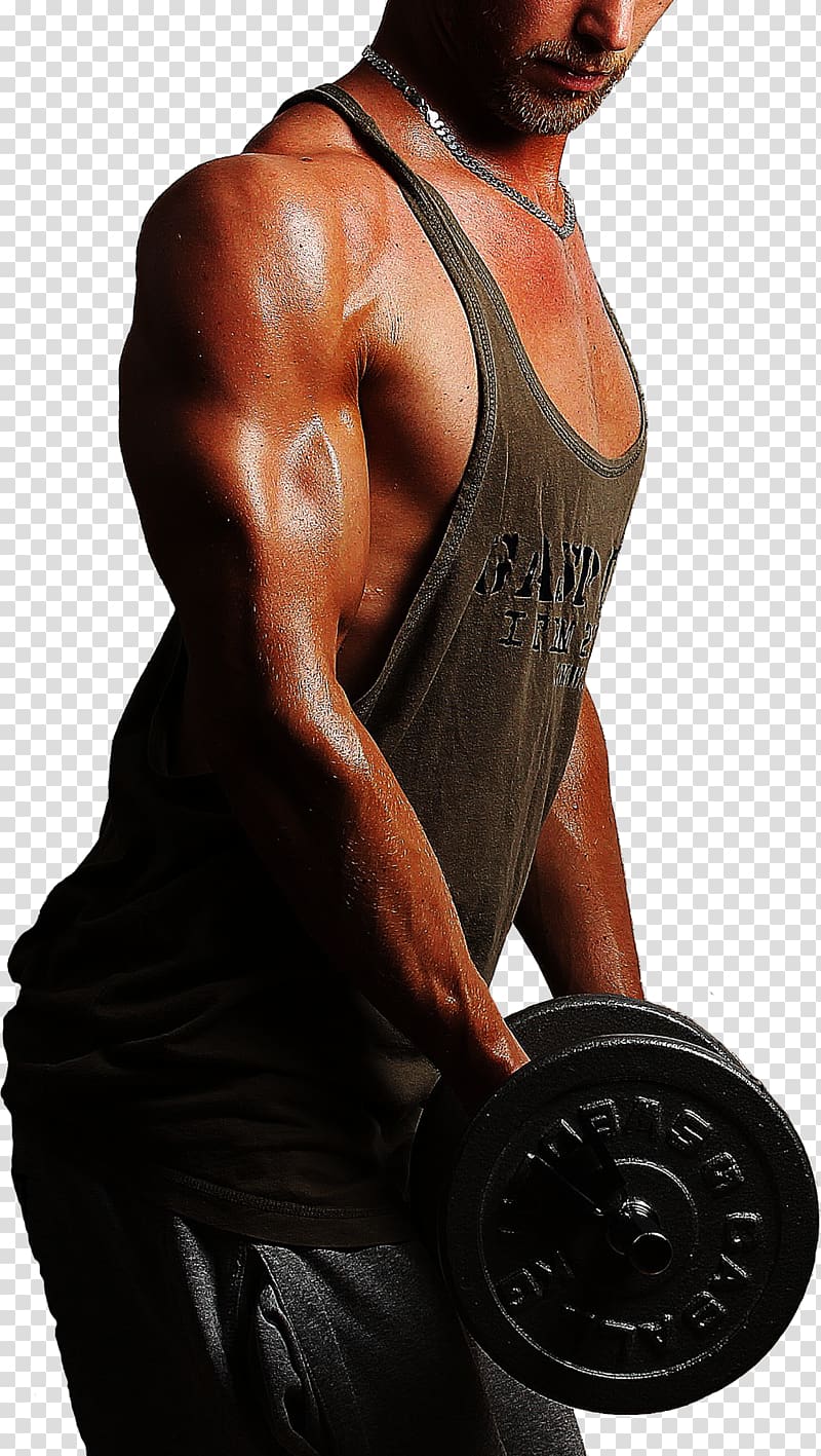 Weight training Shoulder Body man, Biceps Curl transparent background PNG clipart