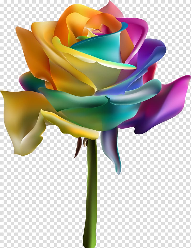 yellow, purple, and green rose art, Rainbow rose Garden roses Euclidean , flowers transparent background PNG clipart