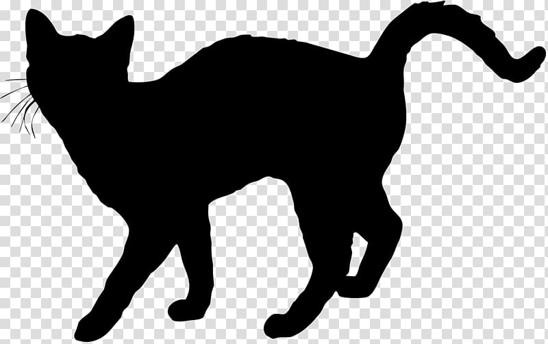 Cat Drawing Silhouette , Cat transparent background PNG clipart