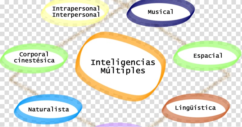 Theory of multiple intelligences Education Läromedel, Las transparent background PNG clipart