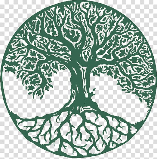 Tree of life Wall decal , design transparent background PNG clipart