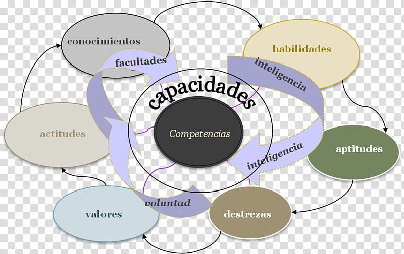 Competency-based curriculum Competencia Education Skill, agente transparent background PNG clipart