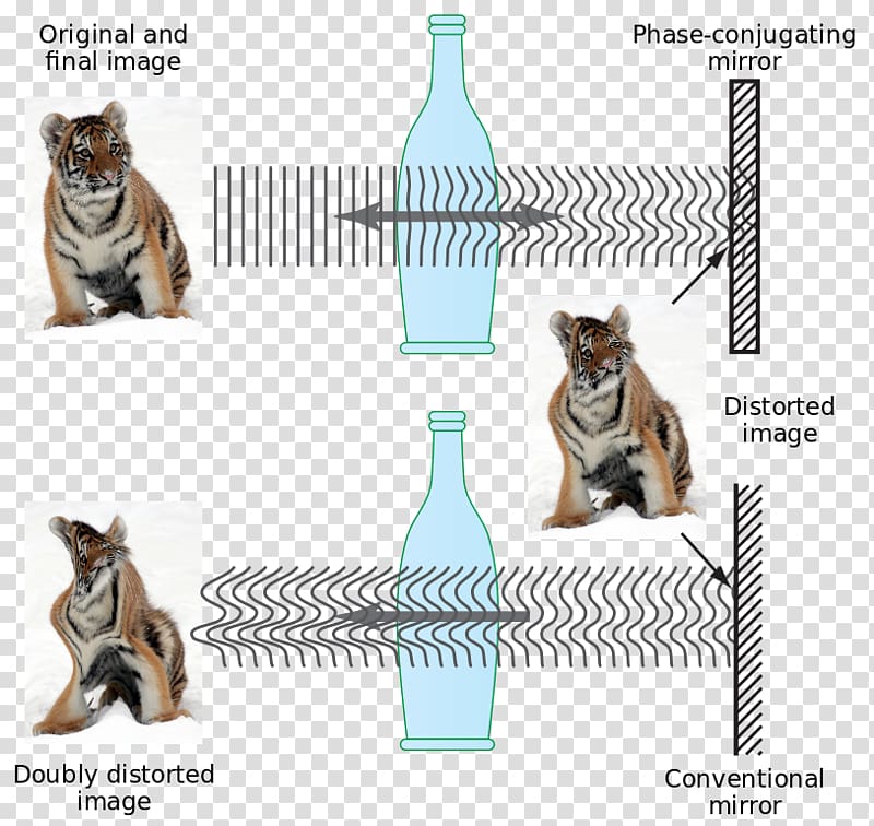 Light Phase conjugation Reflection Time reversal signal processing Nonlinear optics, light transparent background PNG clipart