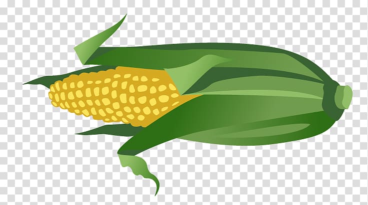Maize, Hand-painted cartoon corn transparent background PNG clipart
