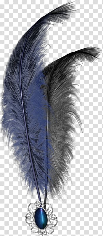 Feather , Plumas transparent background PNG clipart