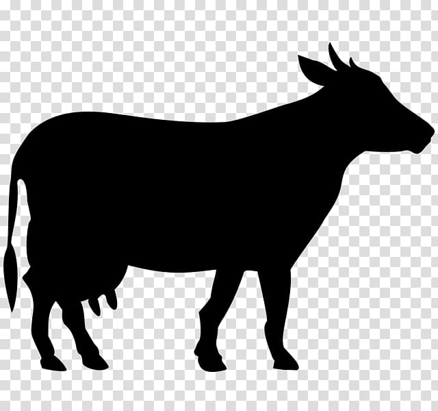 Welsh Black cattle White Park cattle Holstein Friesian cattle Beef cattle Taurine cattle, others transparent background PNG clipart