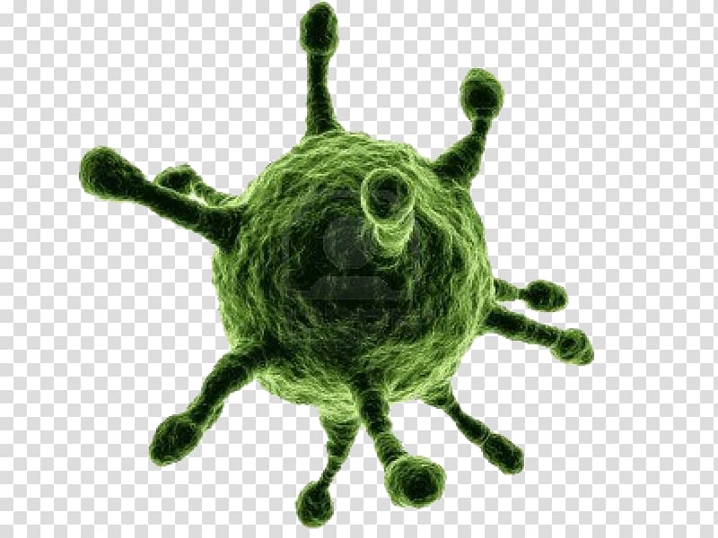 Virus Infection Bacteria Organism, transparent background PNG clipart