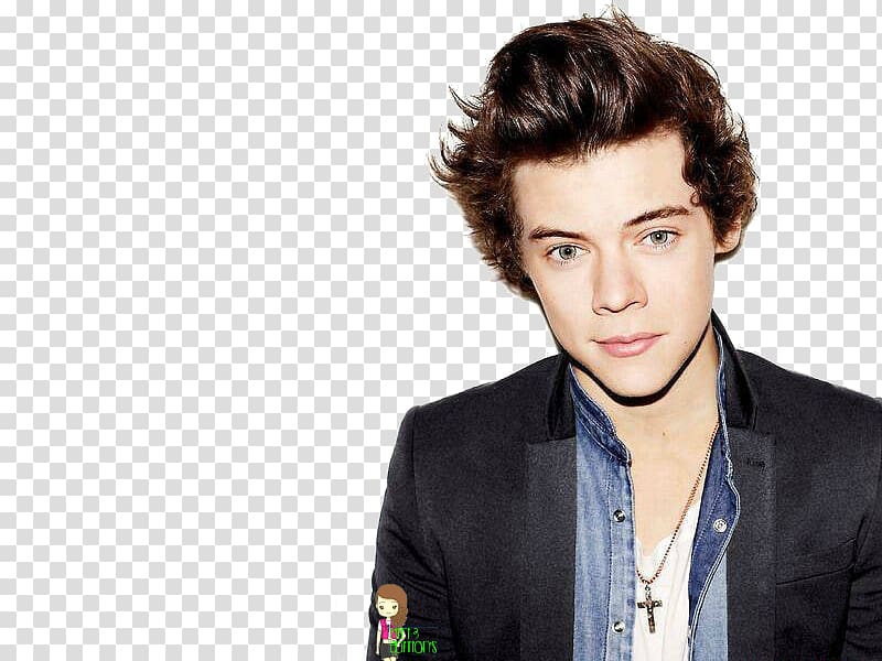 Harry Styles 2013 Brit Awards The X Factor One Direction shoot, STYLE transparent background PNG clipart