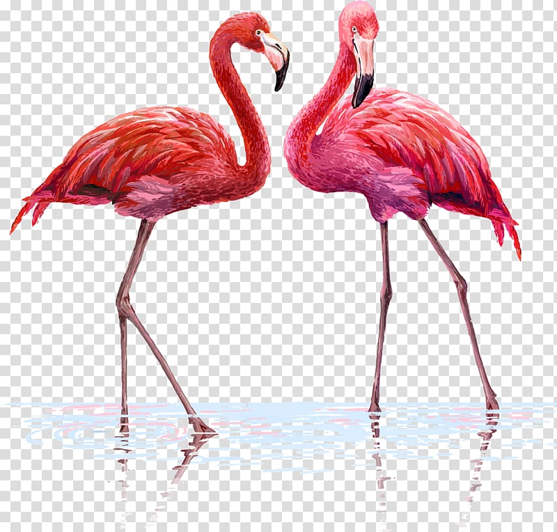 Flamingo Wall decal Tapestry Interior Design Services, One pair of flamingos, two American flamingos illustration transparent background PNG clipart