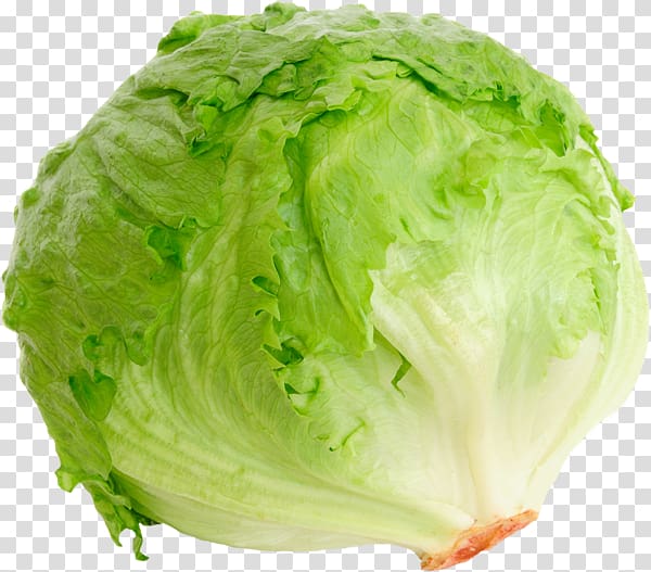 green cabbage, Iceberg lettuce Romaine lettuce BLT Red leaf lettuce Salad, iceberg transparent background PNG clipart