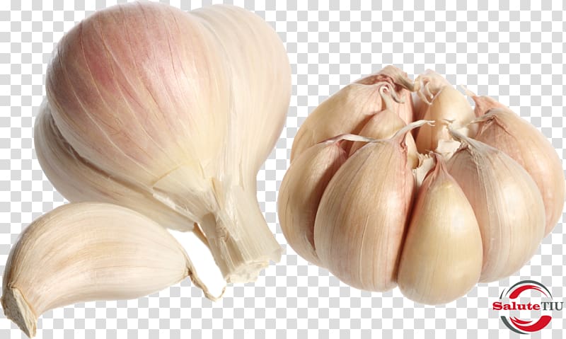 Garlic bread Clove Pesto Shallot, garlic transparent background PNG clipart
