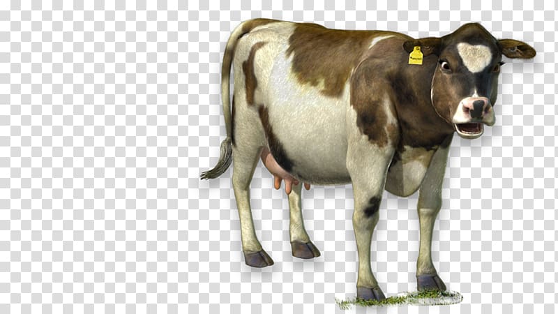 Dairy cattle The Cow Ox, milk transparent background PNG clipart