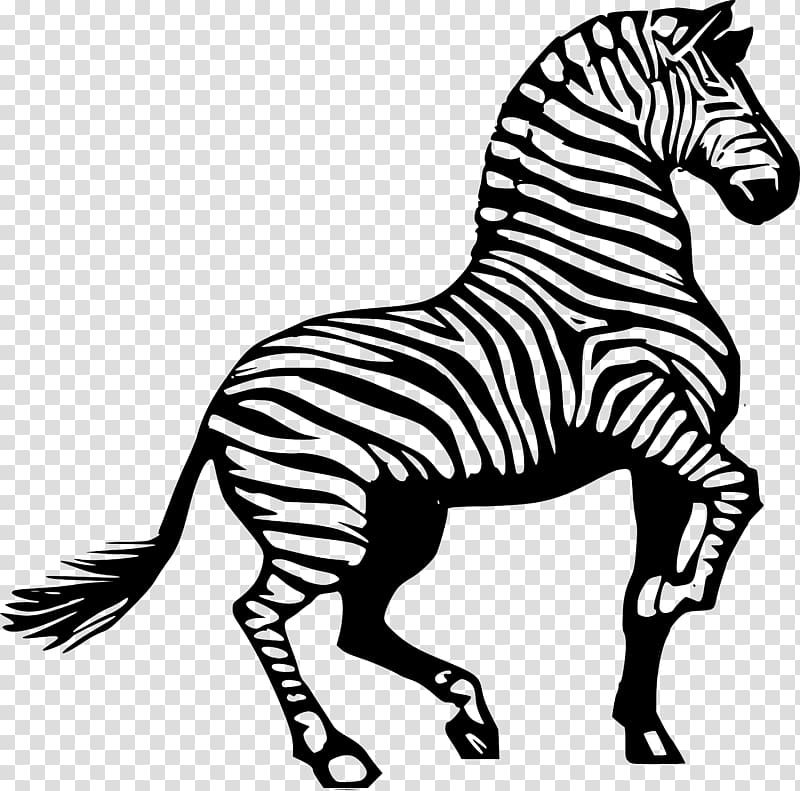 Horse Zebra Drawing , Animal print transparent background PNG clipart