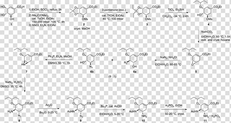 Shikimic acid Oseltamivir total synthesis, others transparent background PNG clipart