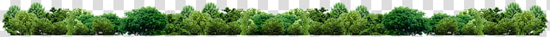 green trees , Green Grasses Family, forest transparent background PNG clipart
