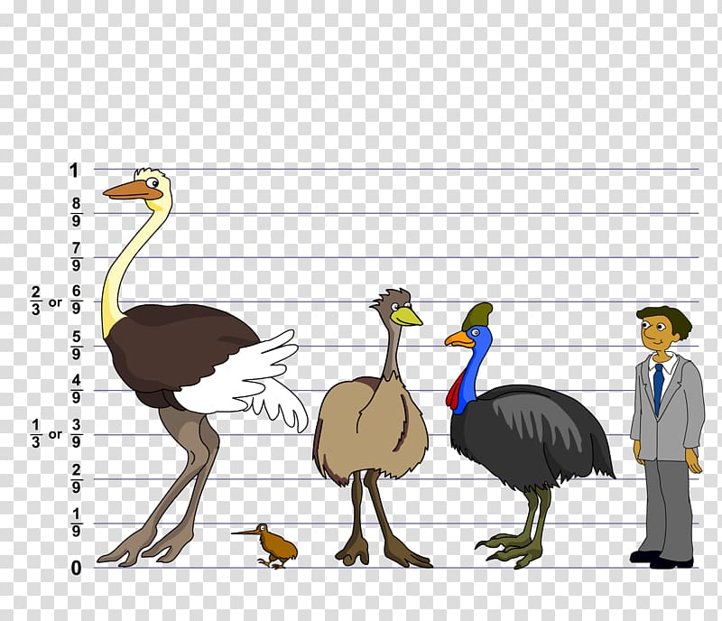 emu egg clipart