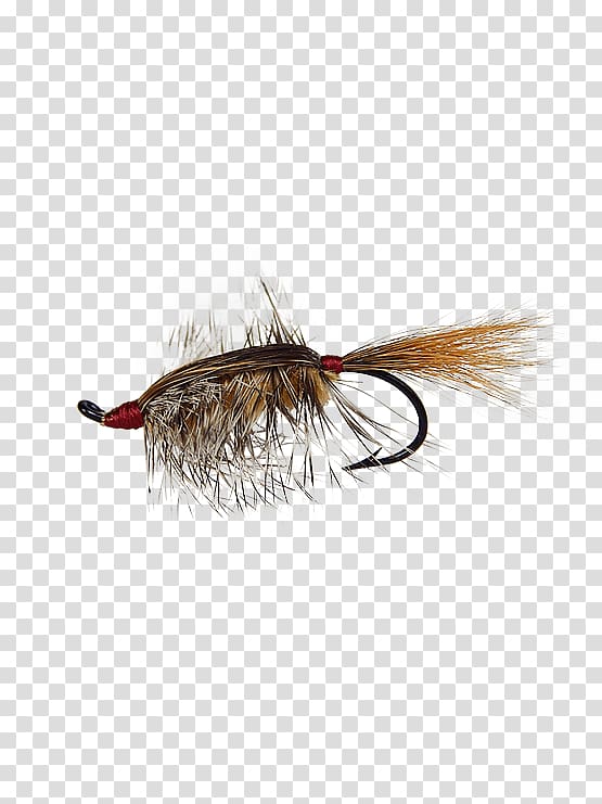 Product Holly Flies Bed Head Rainbow trout Artificial fly, fly fishing flies transparent background PNG clipart
