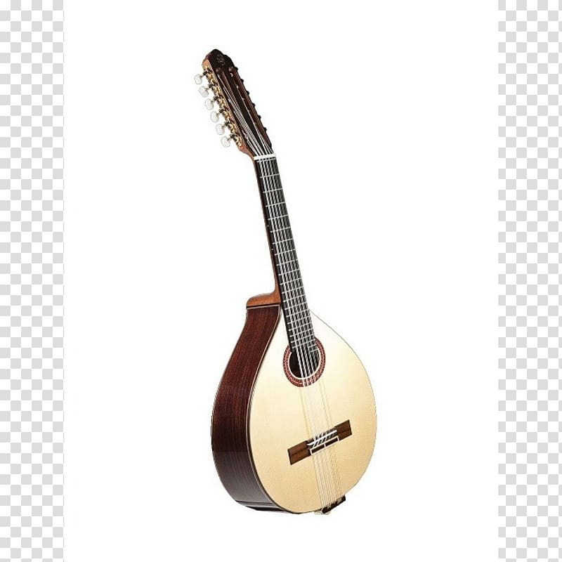 Tiple Acoustic guitar Cuatro Lute Bağlama, Acoustic Guitar transparent background PNG clipart
