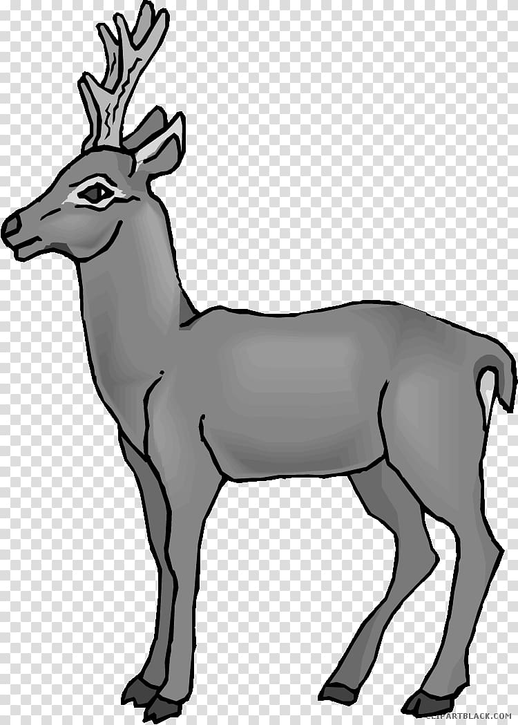 Reindeer Antler, deer transparent background PNG clipart