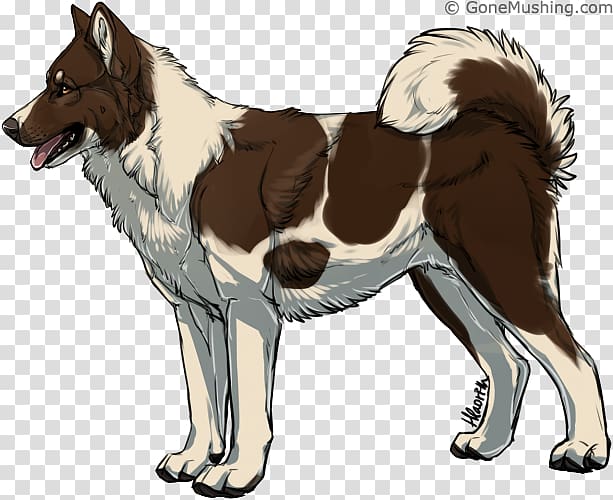 Seppala siberian sleddog East Siberian Laika Karelian Bear Dog Greenland Dog Canaan Dog, Samoye transparent background PNG clipart