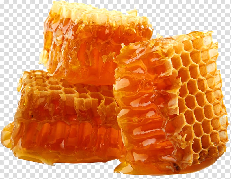 three honeycombs illustration, Honey bee Beeswax Honeycomb, bee transparent background PNG clipart