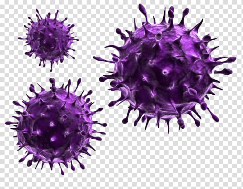 Influenza A virus Influenza A virus Infection Pathogen, others transparent background PNG clipart