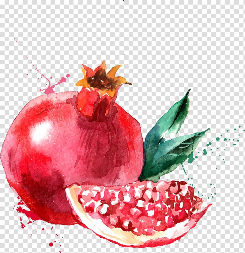 How to Draw a Pomegranate Fruit Easy Step by Step - YouTube