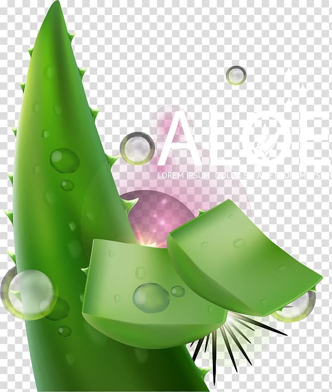 Aloe vera Liquid Skin care, Aloe Vera Skin Care ad element transparent background PNG clipart