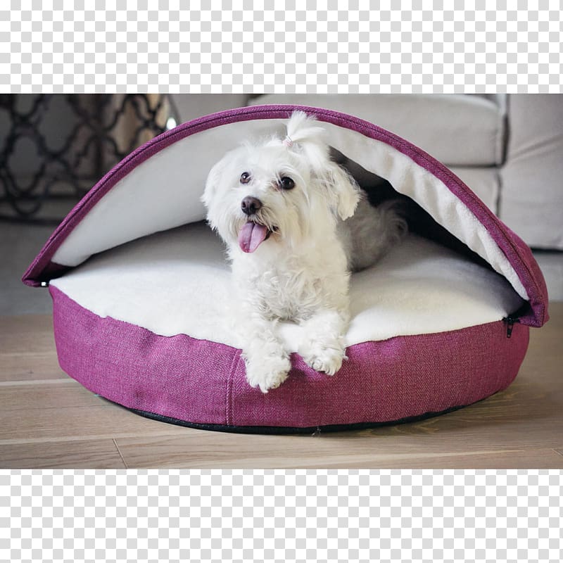Bolster Bread pan Dog breed Maltese dog Bed, others transparent background PNG clipart