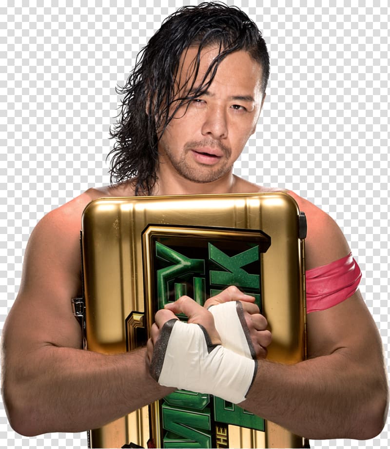 Dean Ambrose Money in the Bank (2016) Money in the Bank ladder match WWE Superstars WWE Intercontinental Championship, wwe transparent background PNG clipart