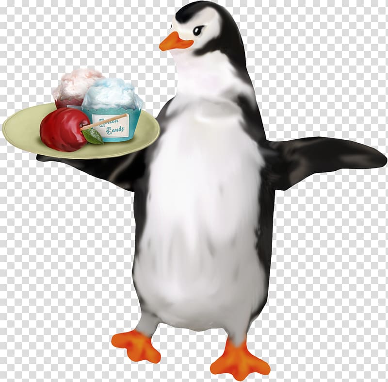 Penguin Duck Drawing, Cartoon penguin transparent background PNG clipart