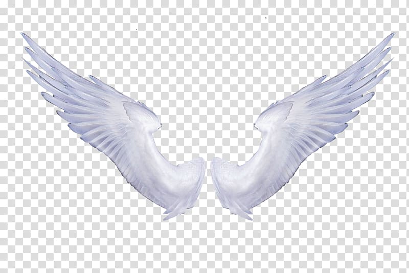 Angel wings Portable Network Graphics Transparency, angel figure transparent background PNG clipart