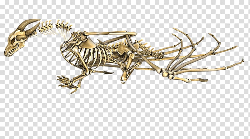 brown skeleton of dragon, Dragon Horned Skeleton transparent background PNG clipart