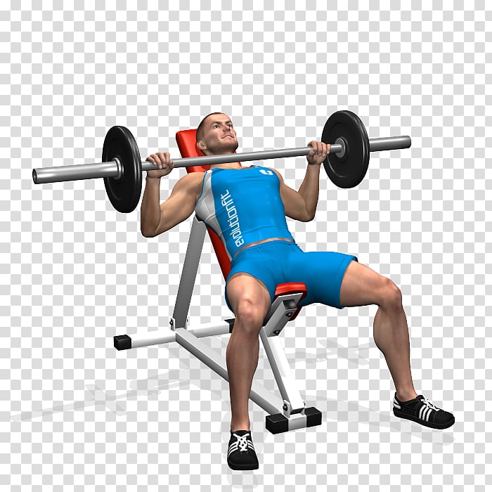 Bench press Barbell Dumbbell Pectoralis major, barbell transparent background PNG clipart