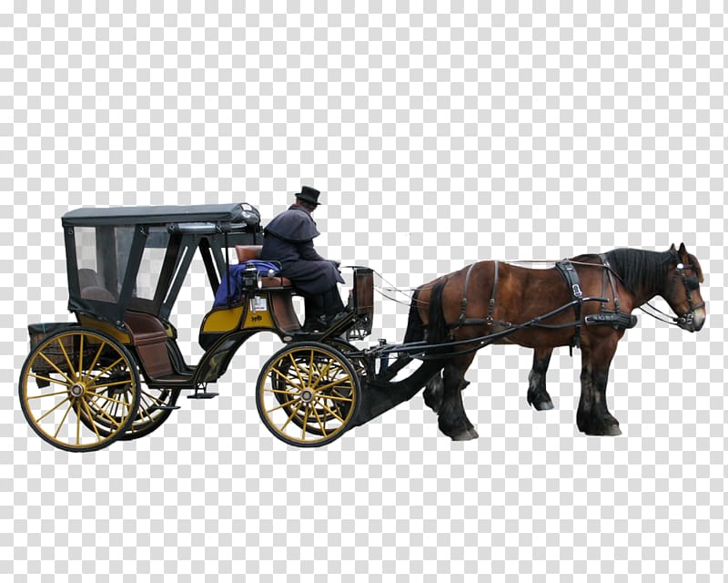 Carriage Litter Horse-drawn vehicle, P transparent background PNG clipart