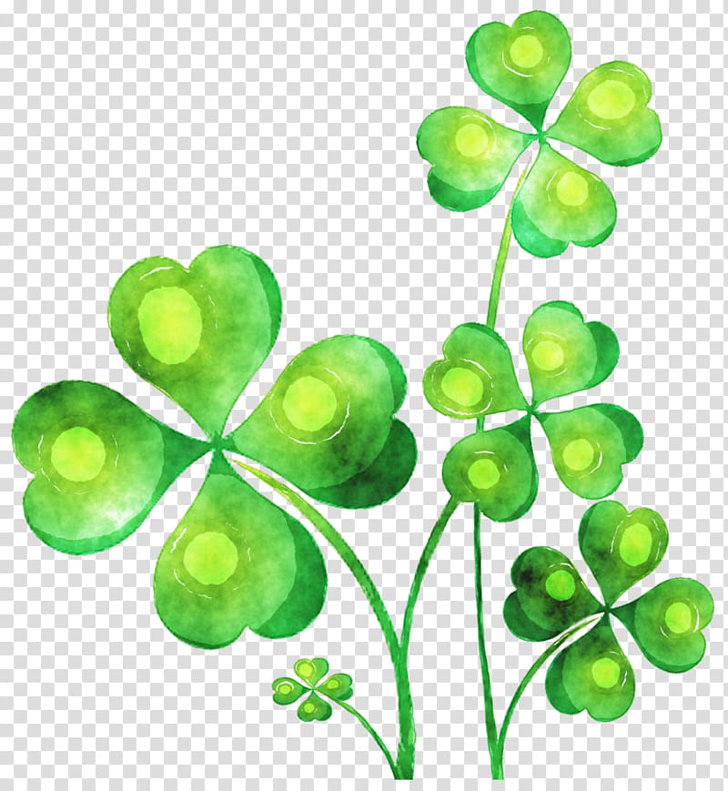 Ireland T-shirt Four-leaf clover Shamrock, Painted green clover transparent background PNG clipart