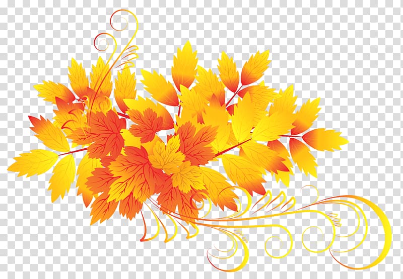 yellow and orange leaves , Autumn leaf color , Autumn Leaves transparent background PNG clipart