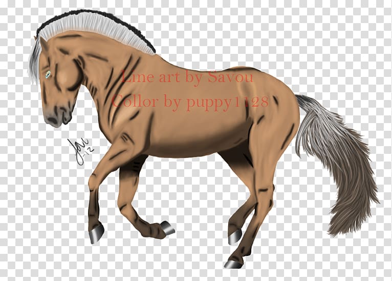 Mane Fjord horse Pony Mustang, mustang transparent background PNG clipart