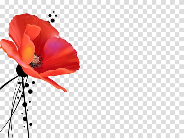 Poppy God Quran Happiness Holy of Holies, God transparent background PNG clipart
