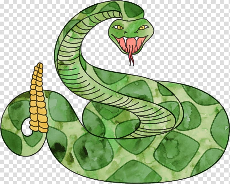 Vipers Rattlesnake , snake transparent background PNG clipart